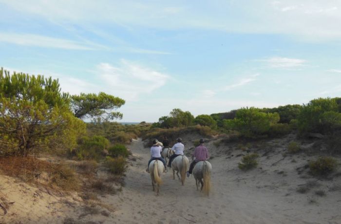 Sylvéréal farmhouse Camargue horses