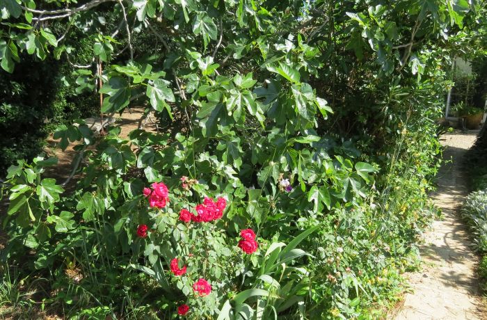 chambre dortoir l'accueil naturel extérieur