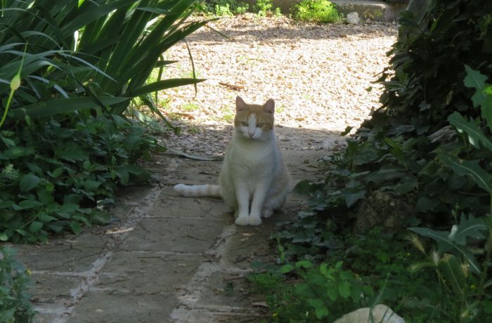 chambre dortoir l'accueil naturel