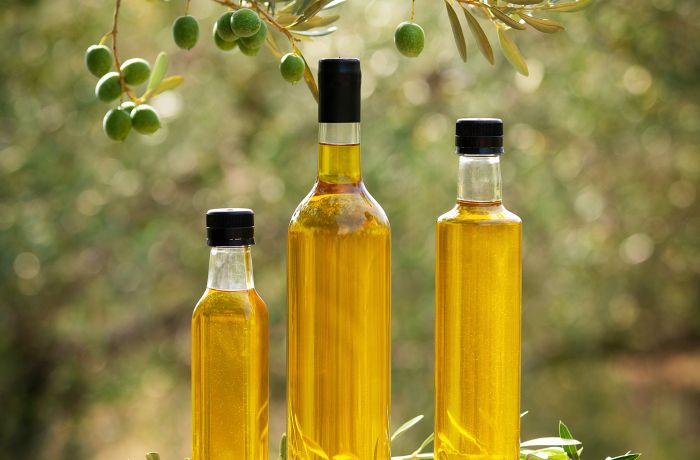 moulin des bouviers gallician