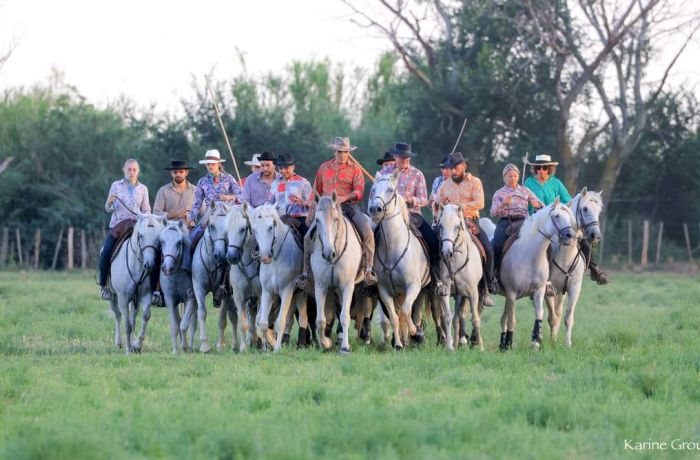 Saint Louis Montcalm herd