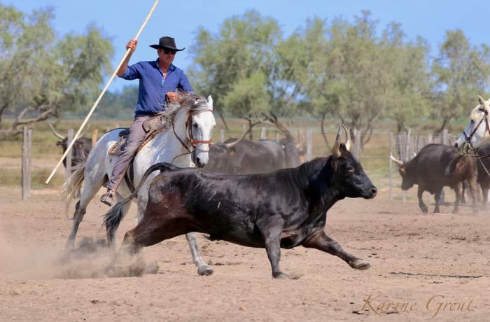 Saint Louis Montcalm ranch