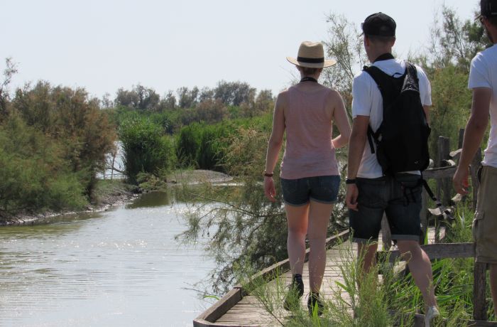 Centre du Scamandre gallician