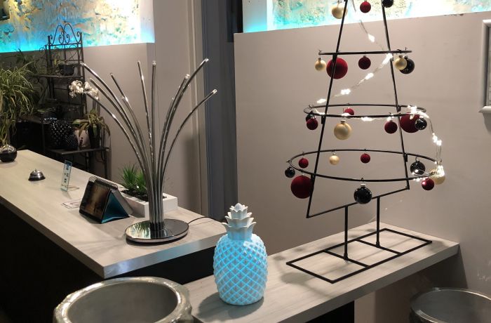 hotel le lys d'or Vauvert accueil