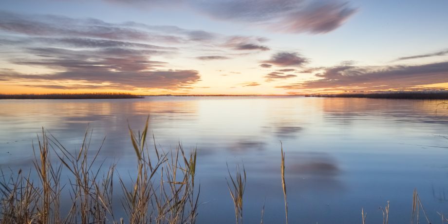 Camargue Gardoise