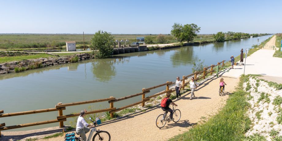 May by bike in the Camargue